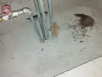 洛阳卫生间测漏水价格明细